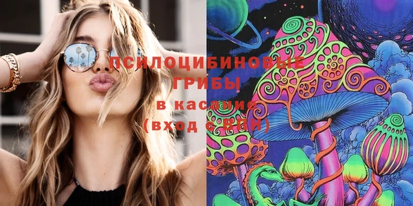 МДПВ Наволоки